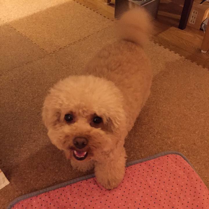 Be638f6a 0826 4226 8f93 311185f0c5e8