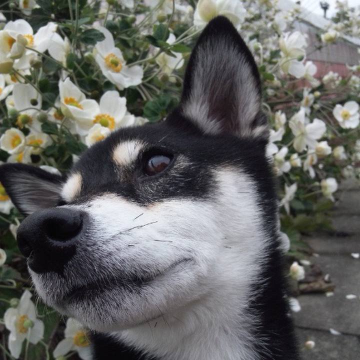 Be6416a7 fbf5 43e2 9127 f92a71de3cd9