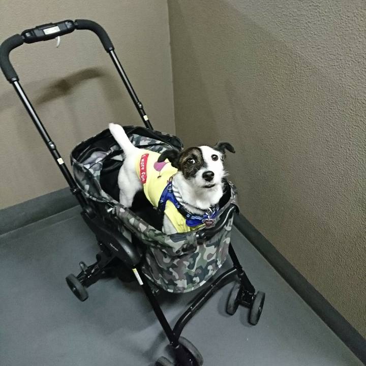 Be64b98f 8da9 4f0b bd1d faa6ce1b2e85