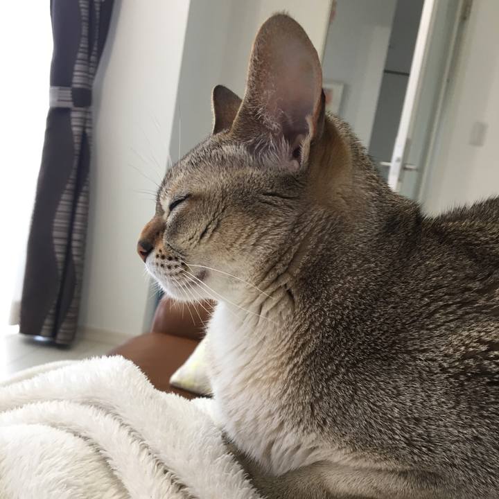 Be657ea8 47af 4683 a409 33abef52fece