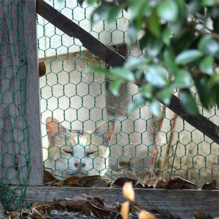 Be6618fb 66b7 4de2 894a 5453a5d50d57