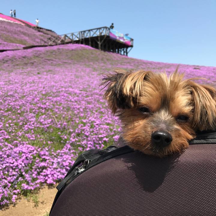 Be669fae 837d 432e a7fe b114258290d7