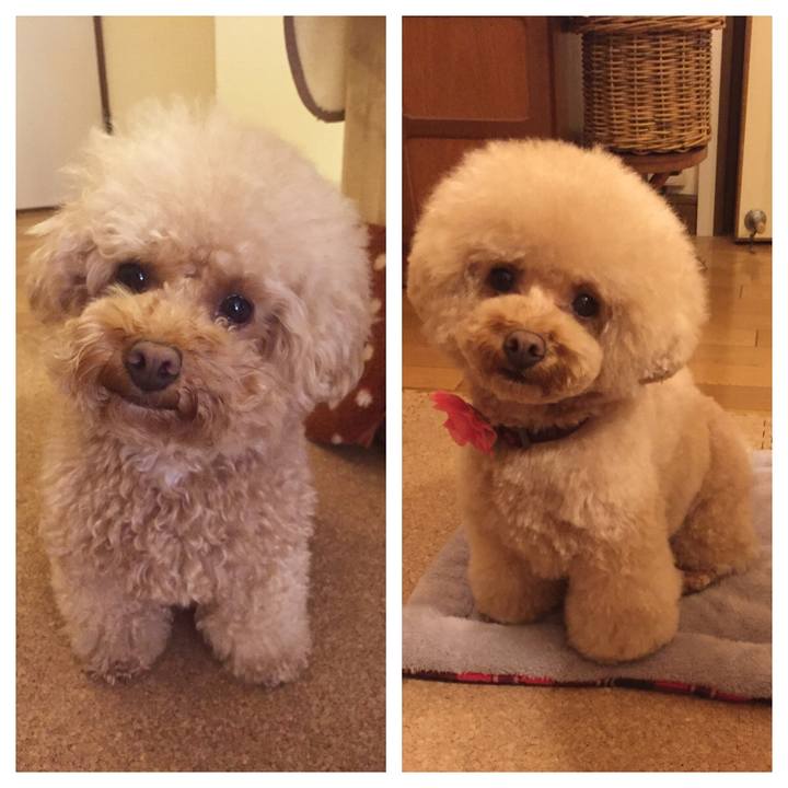 Be66c6fb b2a2 40f6 b706 47393edbaba8