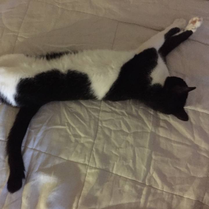 Be66f46c 47be 40c2 9578 96fc839ec8b9