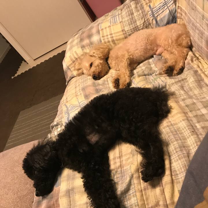 Be67bf93 0b85 463d 9776 7f1b2ba792f7