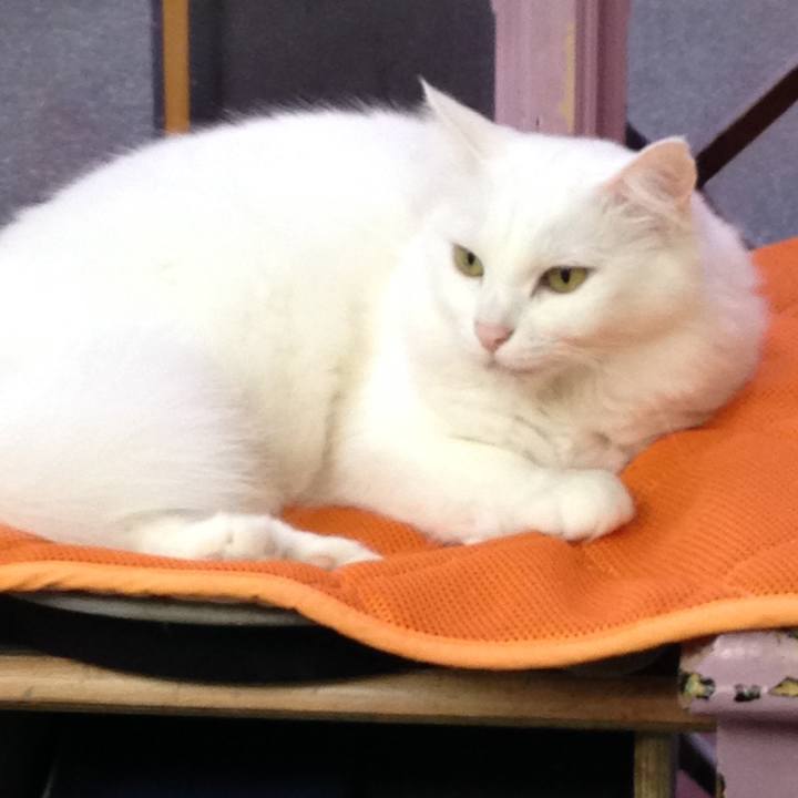 Be67fd28 930e 4c14 a50b 9db8ff486228