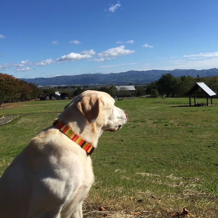 Be681d31 6aa9 4c6e 81cf dfb750b51811