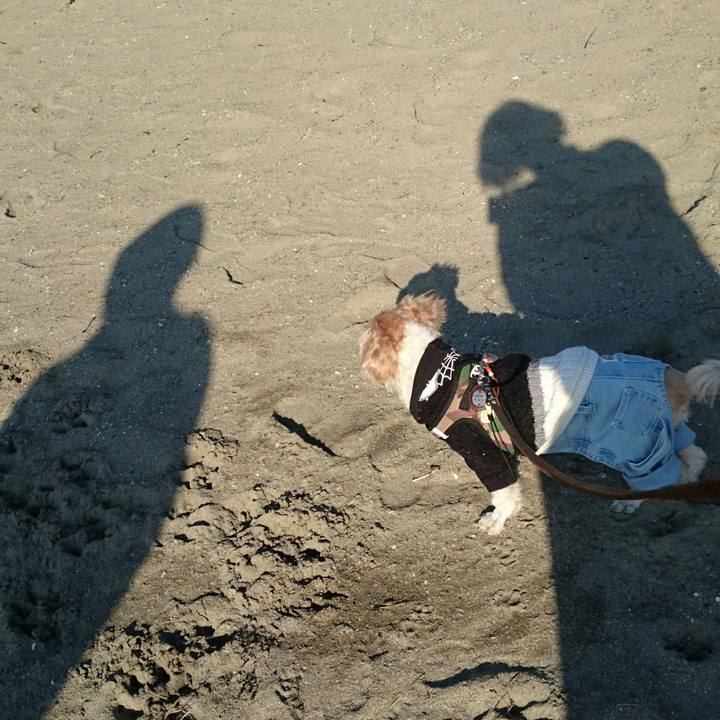 Be68b15b f426 400b b878 53f0d1000b02