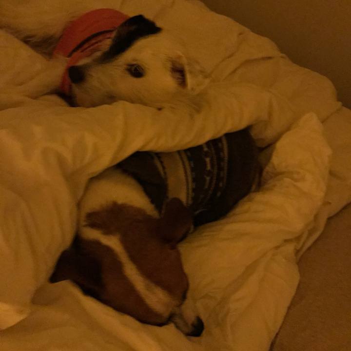 Be690cdc 1d01 44a6 9b0d a9d9f11f9ece