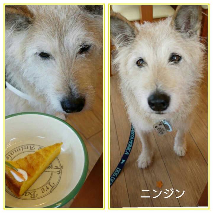 Be6936c6 2f2d 40e9 a546 0ca57929a83c