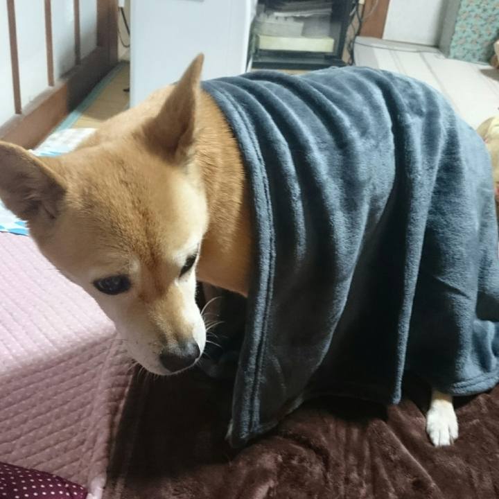 Be694100 c95d 4966 b142 7a585f7b8a32