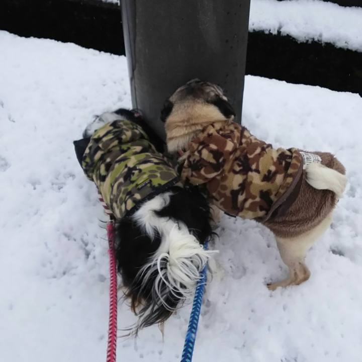 Be695312 ead1 44ae 9656 fddbe6002552