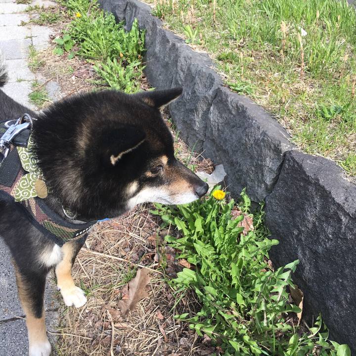 Be699678 e82f 422f 819b 58cd93410569