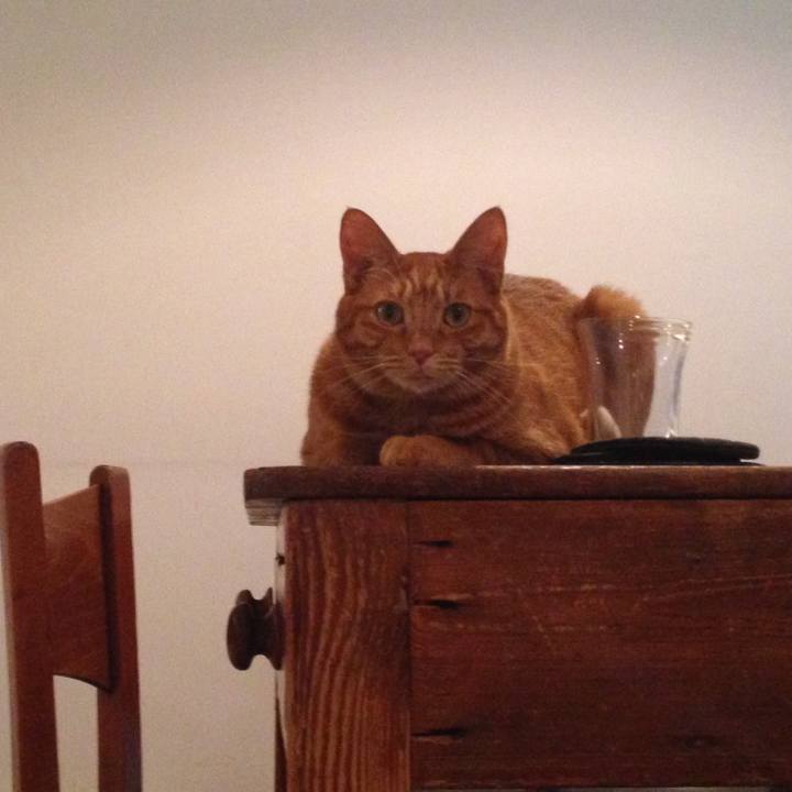 Be69aa57 28c8 49b8 a049 797d01f73af4