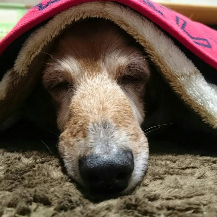 Be6a10ef 700f 43b4 9c78 cd707eea0587