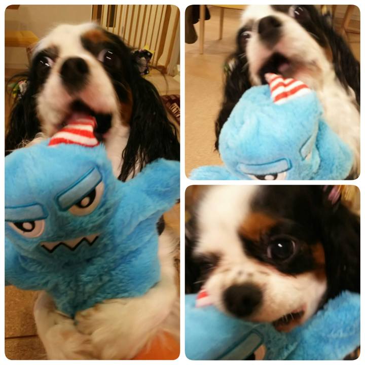 Be6a4b25 f035 4059 8f1e 6b7ddcd03247