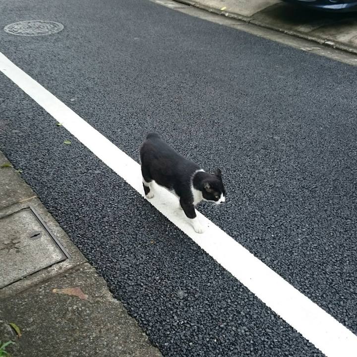 Be6adb2a 7781 498c a3ae eeb538c2517c