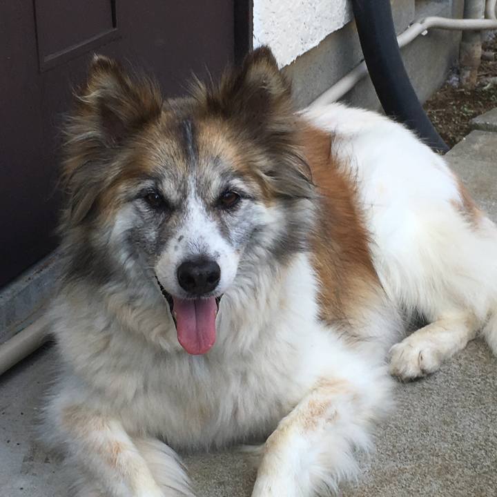 Be6b0c10 01ed 41e0 9b3a 37c145a3cbbc