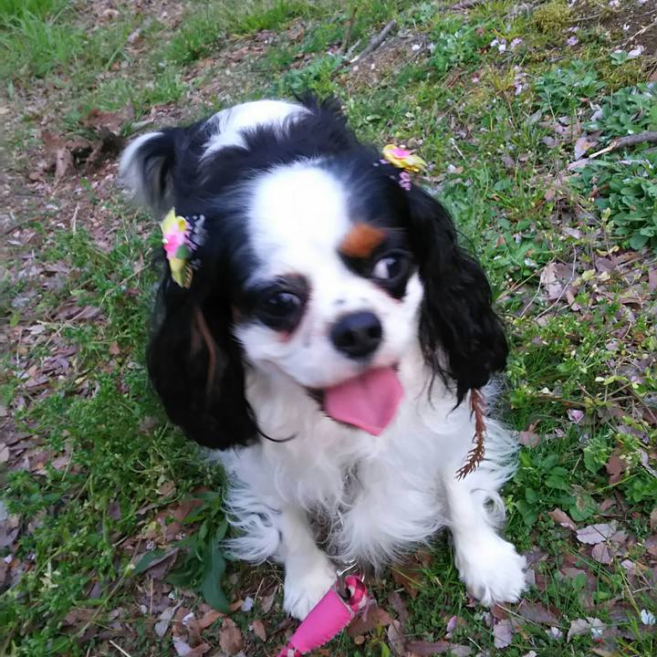 Be6b6b3b c237 4c81 9202 ed87ab9cf5ba