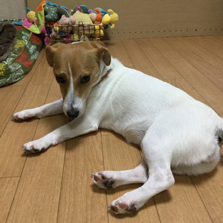 Be6bd7ad 32b0 41ea 96f5 45dee3795193