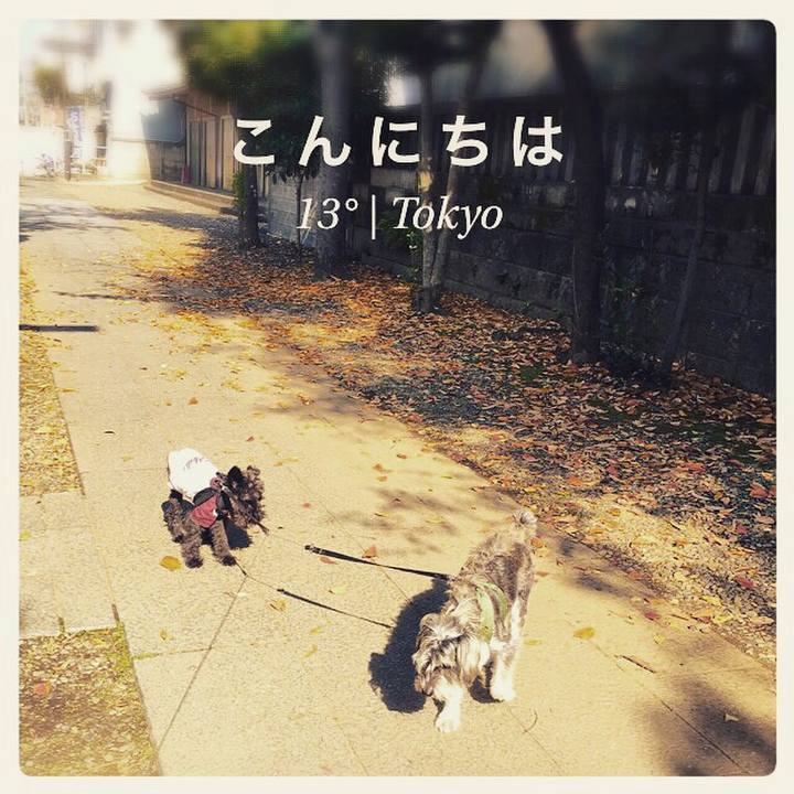 Be6c1d33 327e 4c0d 90ee d67f2d14cbc0