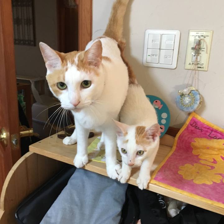 Be6c33fa f718 47d6 983c 62cc05ed57b0