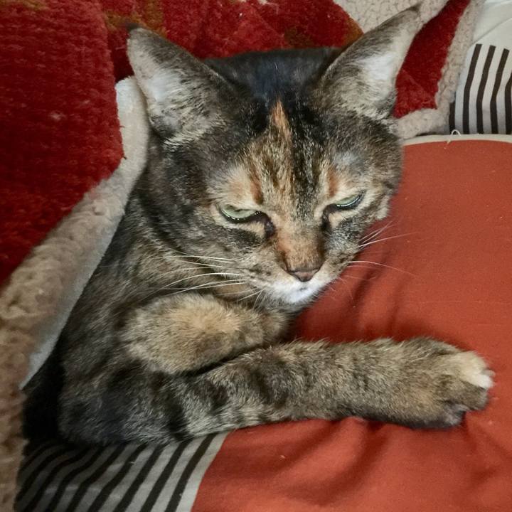 Be6c7b37 a898 4dbe 86ad c3e53d28b1be