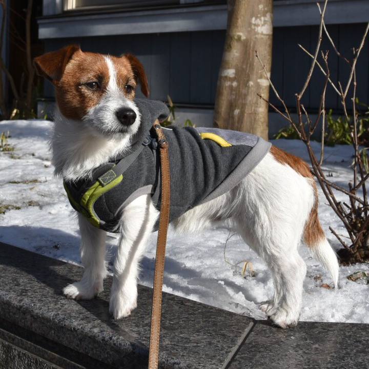 Be6ced66 e1d7 4c8c 9dd6 9b111ac5812b