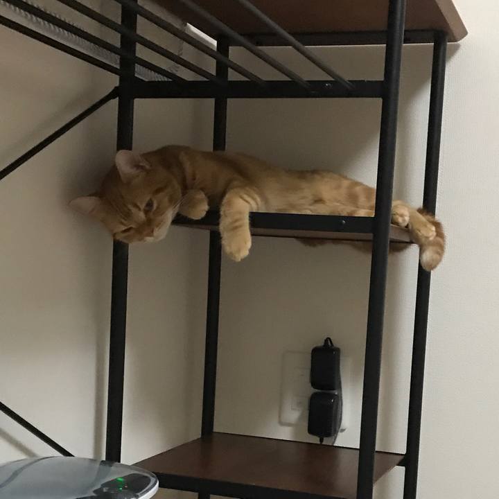 Be6d0333 7f1a 4572 8307 aaeb50d7035f