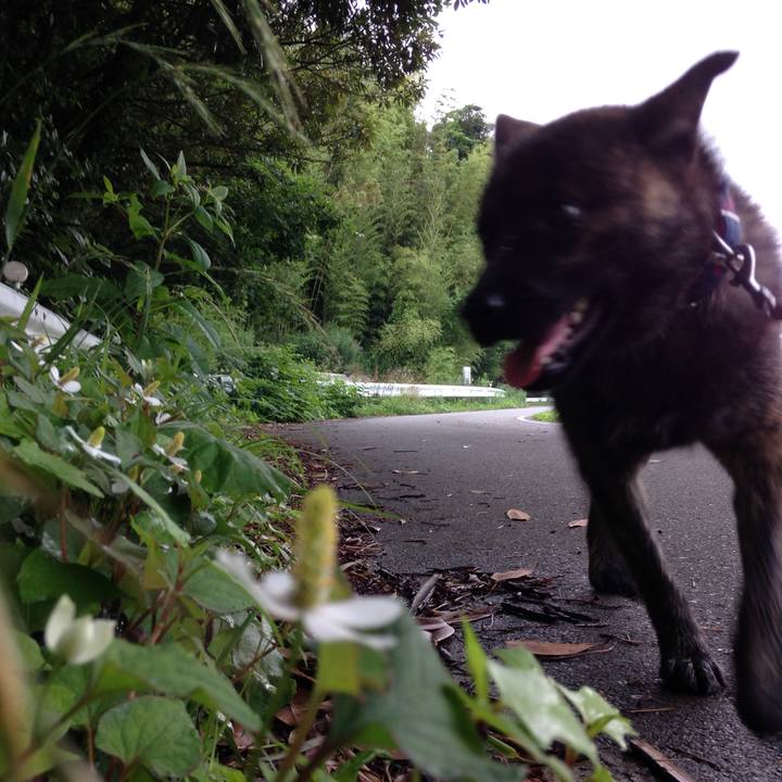 Be6d258e 2716 4e76 b90b 649719105db6