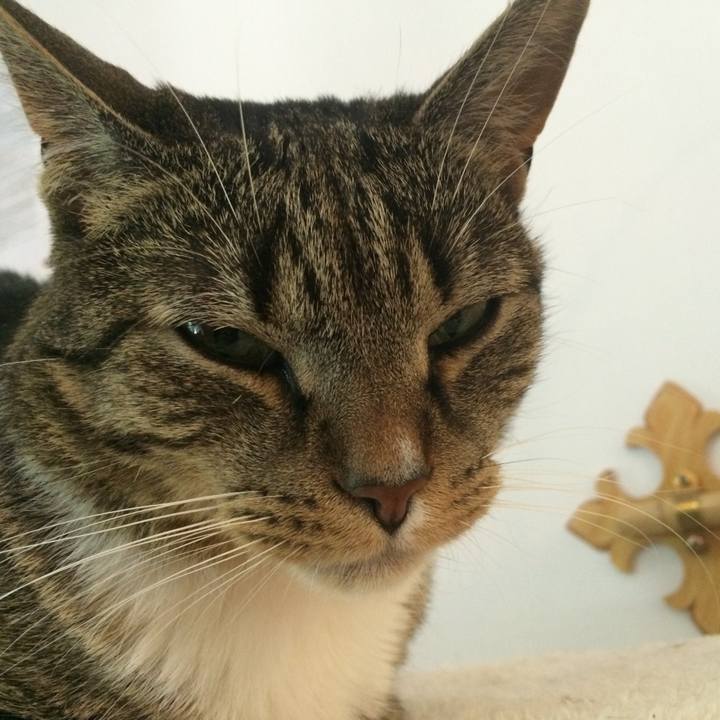 Be6d30a7 d831 474f aada 20ae0882a507