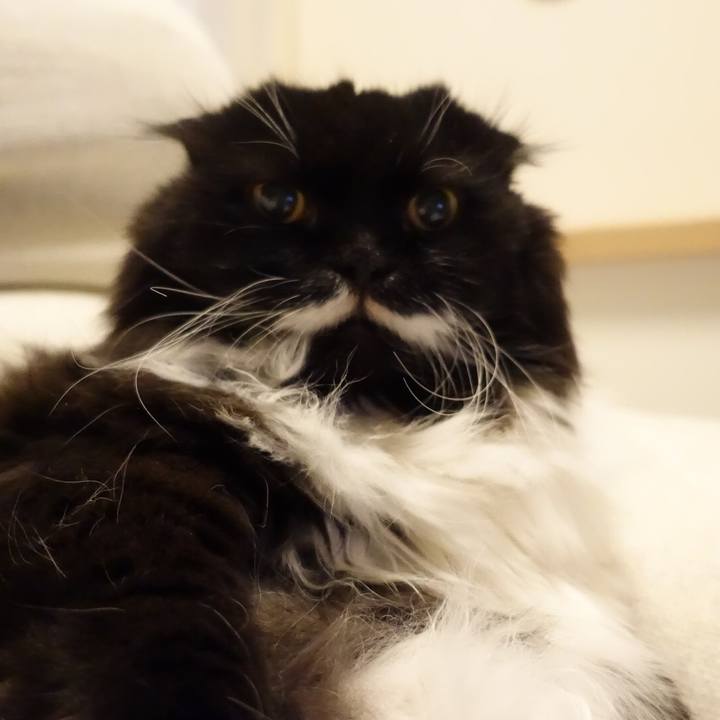 Be6d374c 4746 4840 8a18 6d847bdf0286