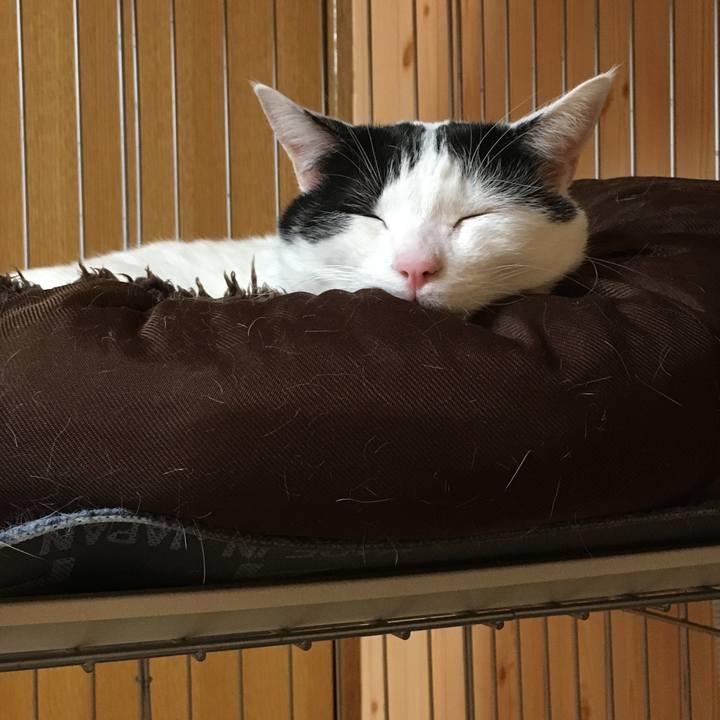 Be6e3e41 416d 44f9 b813 c5e761348fc4