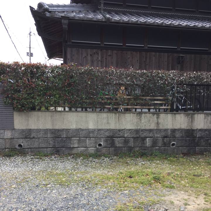 Be6edb0a 376f 42e1 9bd0 beca410eb777