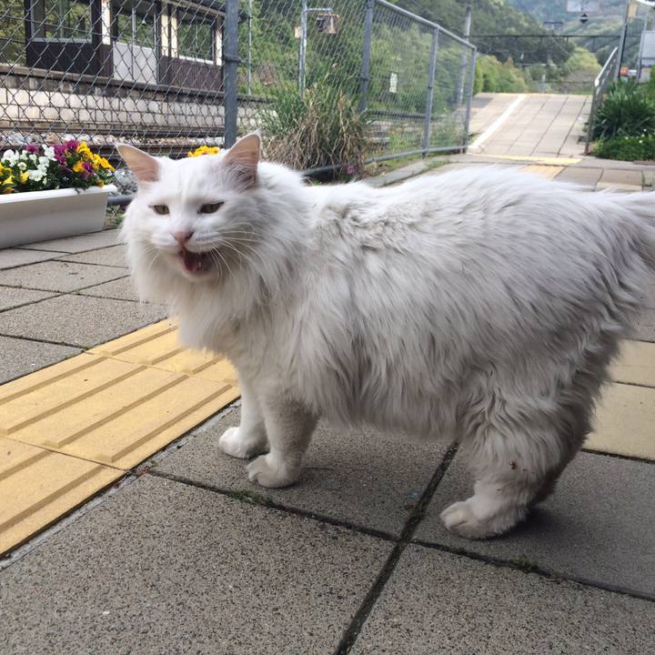 Be6ee3c5 aef8 4aa8 8d60 2a382170ee23