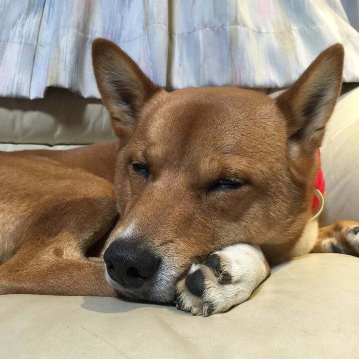 Be6f435c f3aa 4334 bbf3 6292c3103888