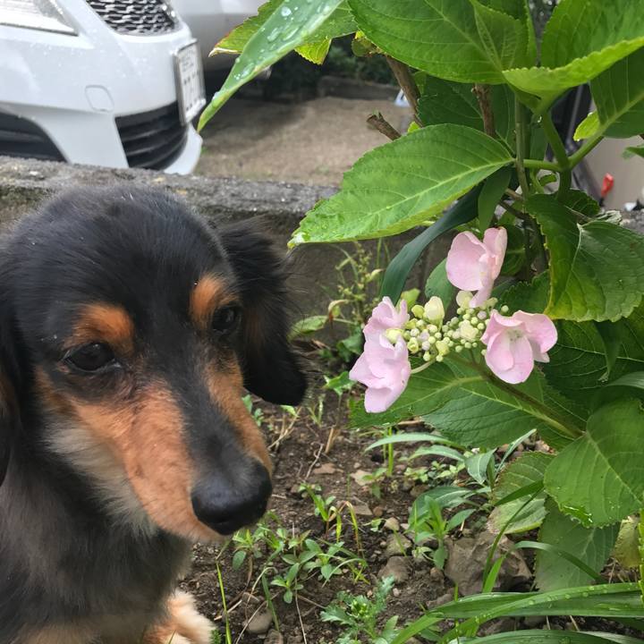 Be6f5305 6446 418c b1b2 1a48a8bd221a