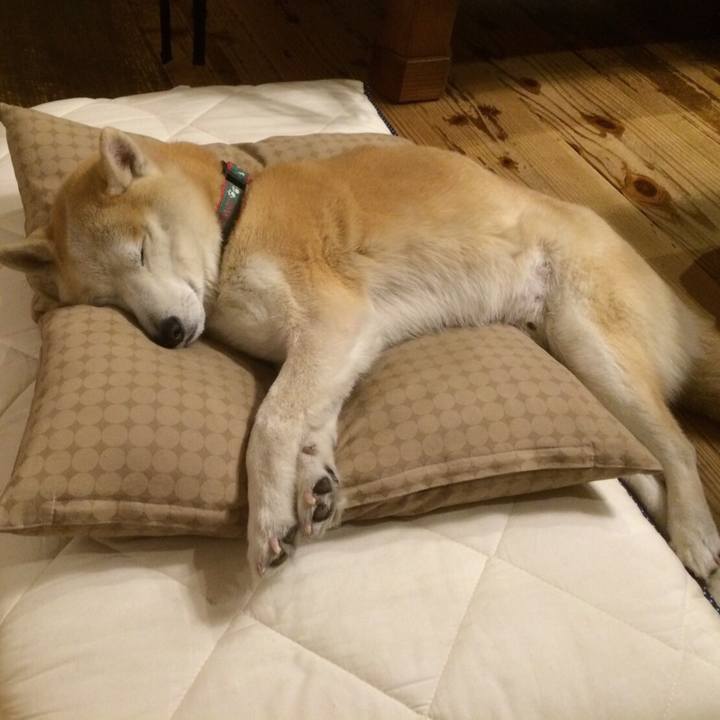 Be7093f4 4a82 4521 be3d 9293dbe539ba