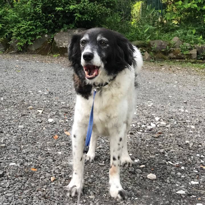 Be7096b9 6581 4c11 a25d 7010fc4e4598