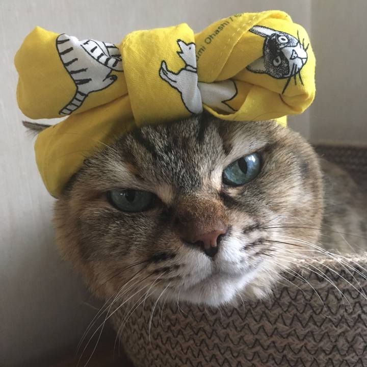 Be711118 eb07 4a1b 83e2 f862eeed2469