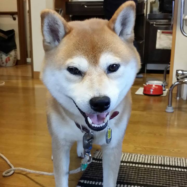 Be712e94 d712 483f bfd8 f856edf65e1e