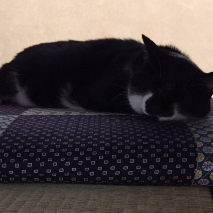 Be71561b a675 4142 aee5 d509da8eb5db