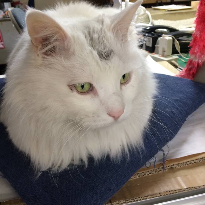 Be716ebd 95f3 4d85 8430 8b03633bc3ab