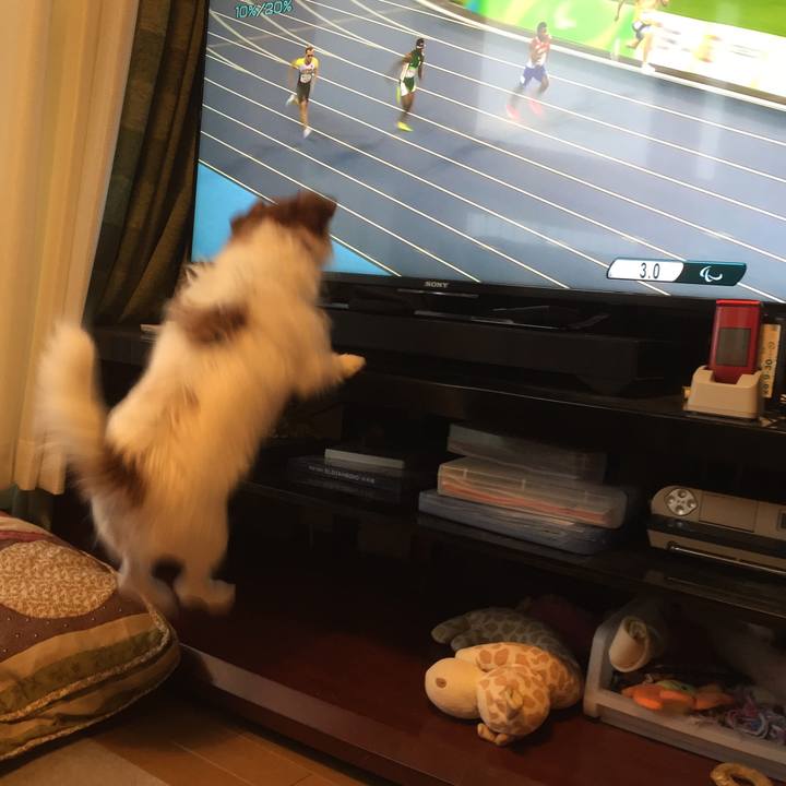 Be718afd e710 4886 8c30 bd1273280dfe