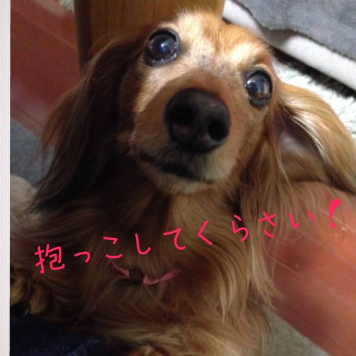 Be718e0c 3daa 4ed5 83a4 a9200ba5f551