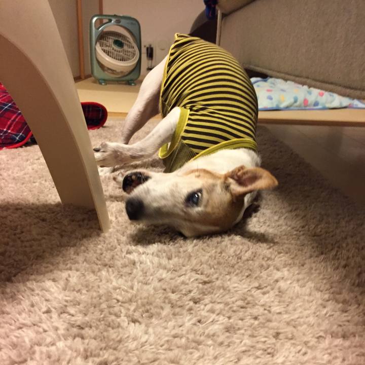 Be71b53f 5ea4 46b9 ab02 ab19669007c5