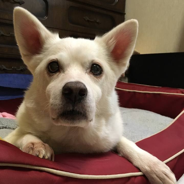 Be71c67e c098 4e7c 9618 07b9b6a97c62