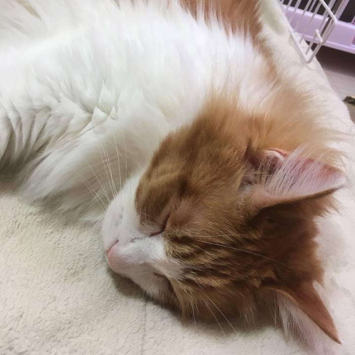 Be72239d f05a 4c37 85d3 30eace0b99d3