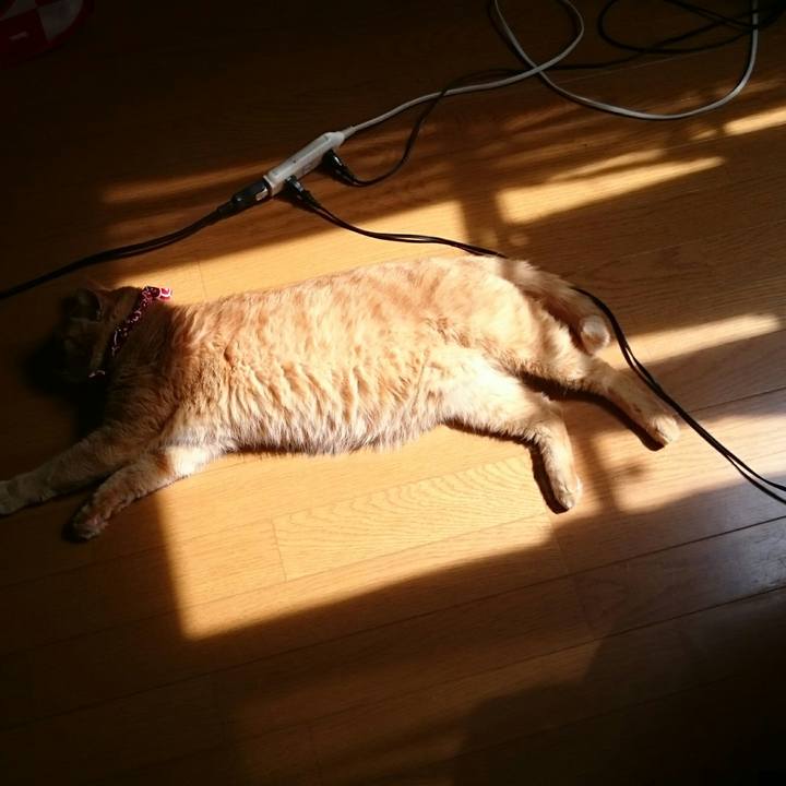 Be72aafb e88a 464a bb04 f454ae46074c