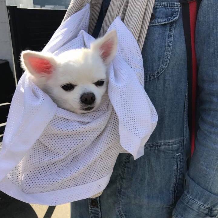 Be72b56e aa3c 4c1c bbef 269b1ea0bf9c